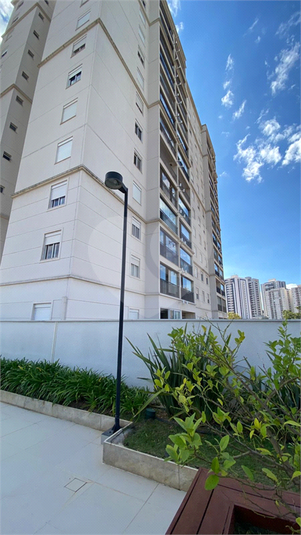 Foto REO1108687