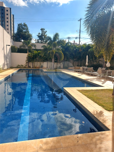 Foto REO1108687
