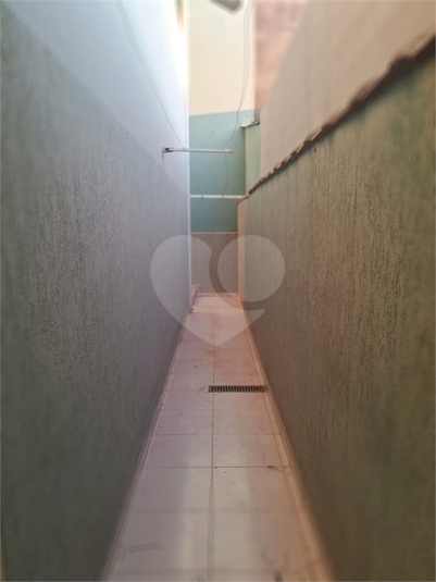 Foto REO1108689