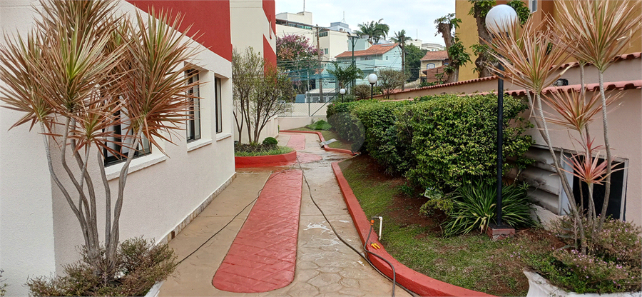 Foto REO1108696