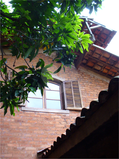 Foto REO1108709