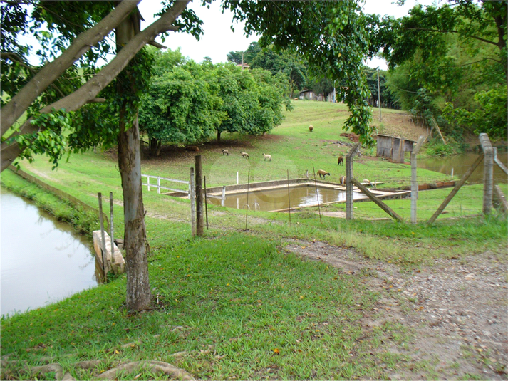 Foto REO1108709
