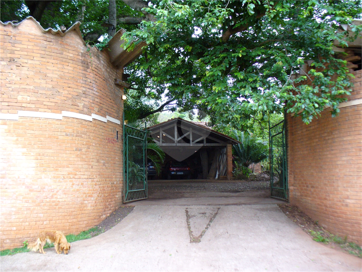 Foto REO1108709