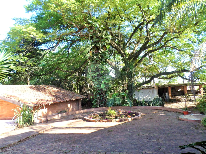 Foto REO1108709