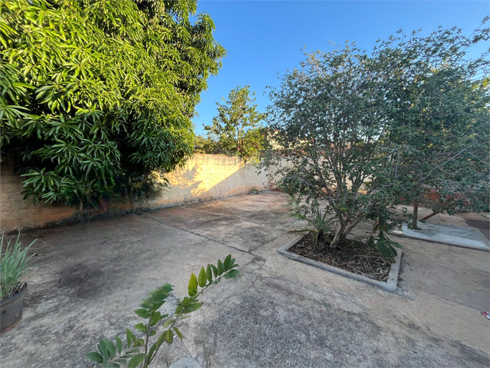 Foto REO1108713