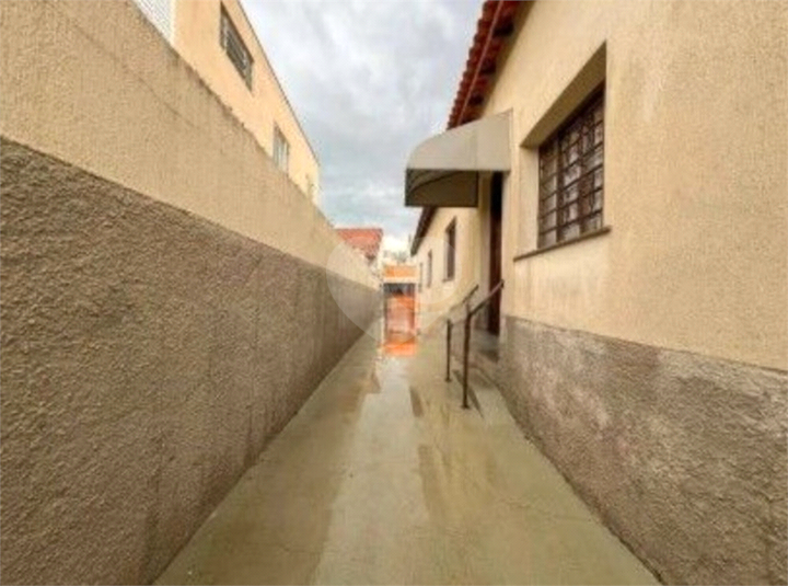 Foto REO1108716