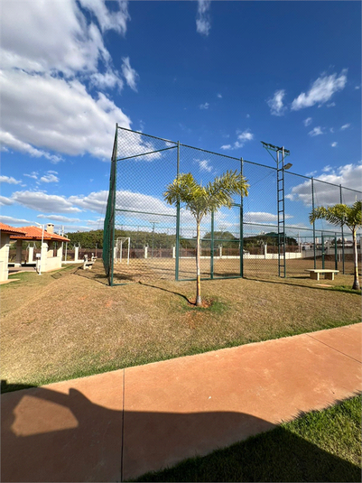 Foto REO1108719