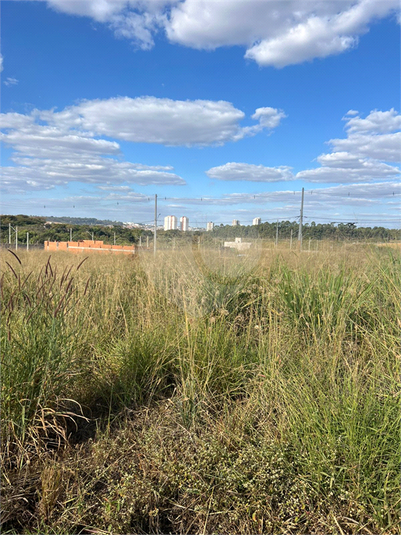 Foto REO1108719