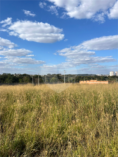 Foto REO1108719