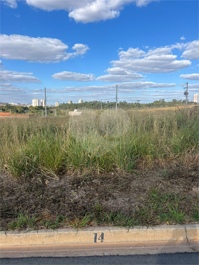 Foto REO1108719