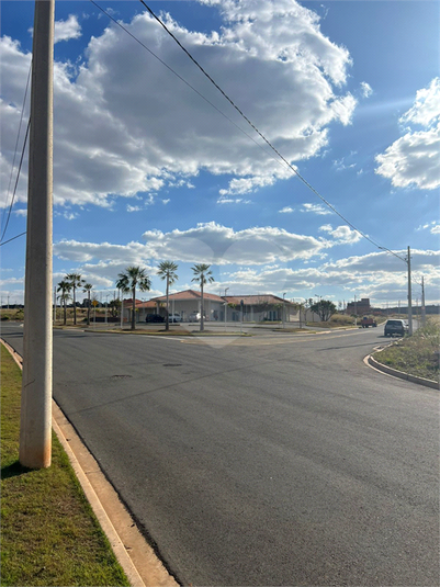 Foto REO1108719