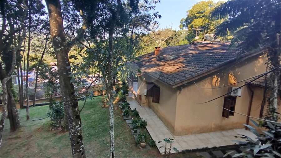 Foto REO1108725