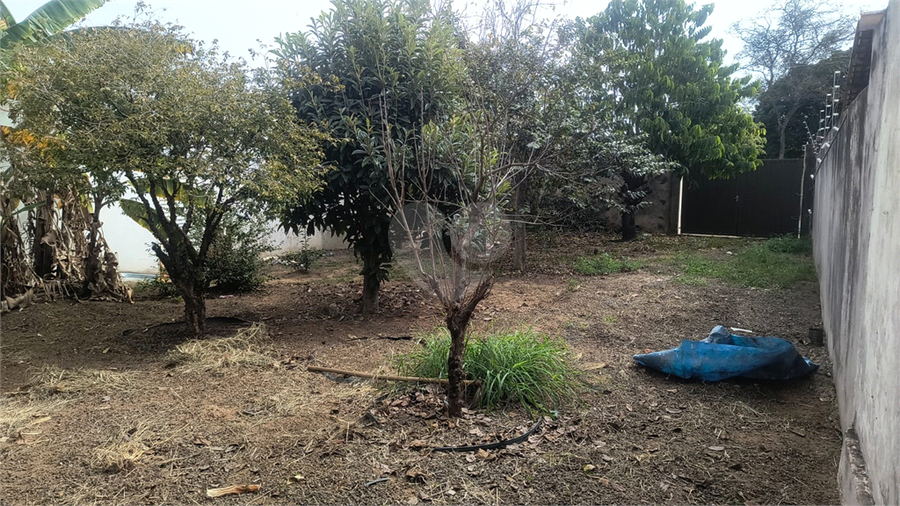 Foto REO1108744