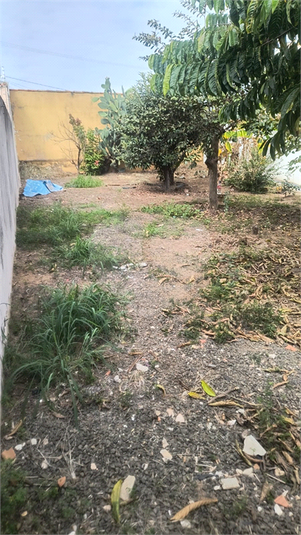 Foto REO1108744