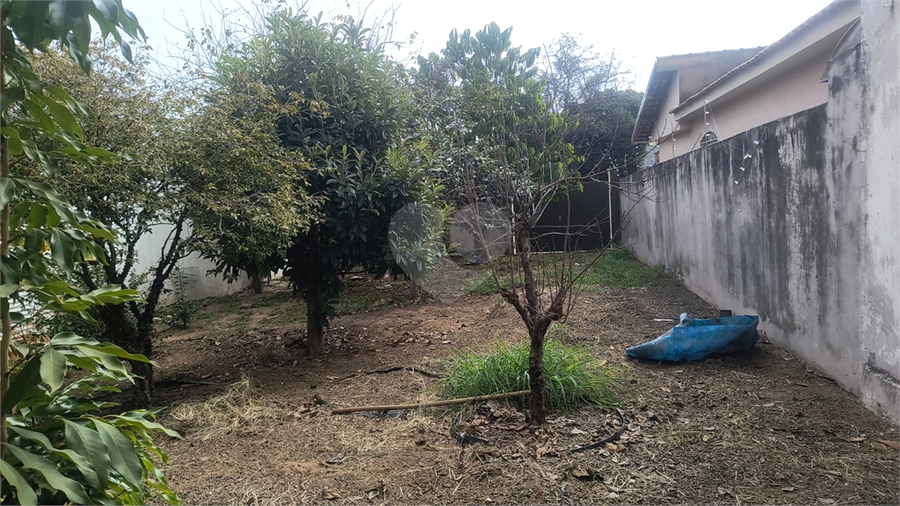 Foto REO1108744
