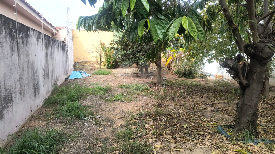 Foto REO1108744