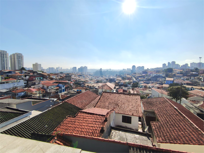Foto REO1108751