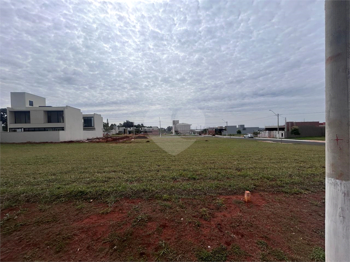 Foto REO1108761