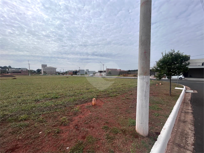 Foto REO1108761