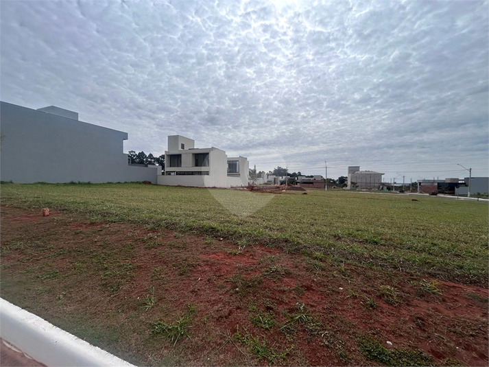 Foto REO1108761