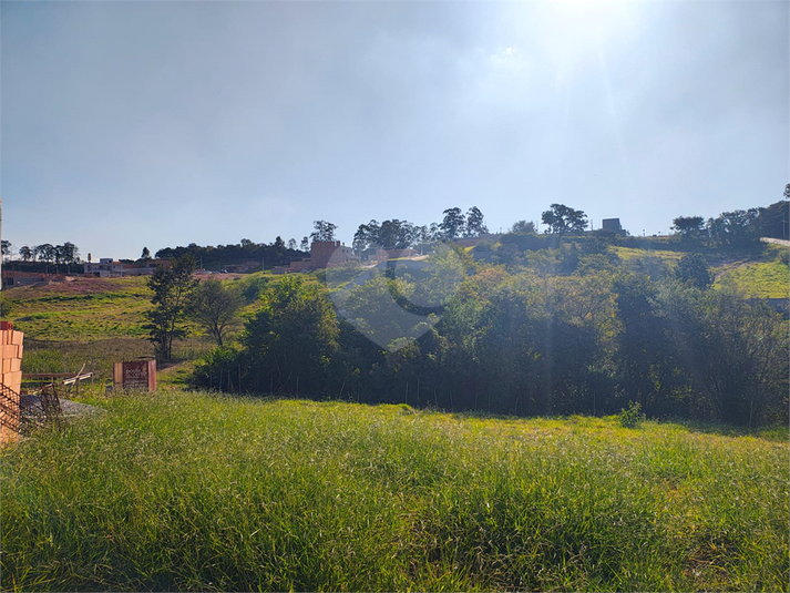 Foto REO1108776