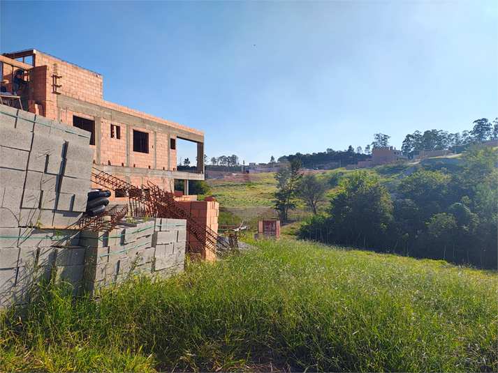Foto REO1108776