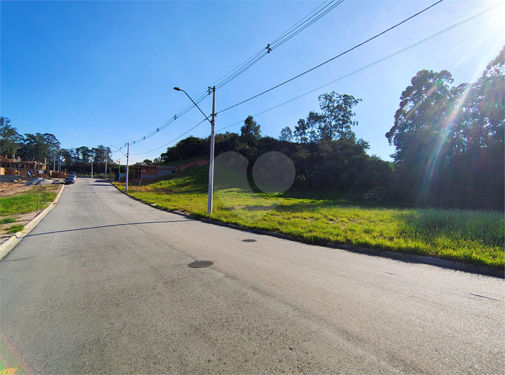 Foto REO1108776