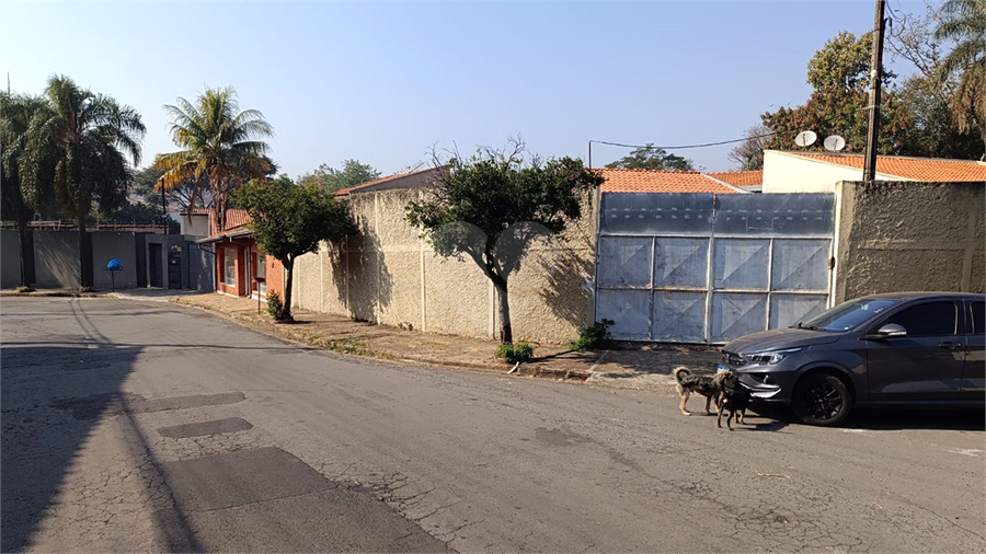 Foto REO1108783