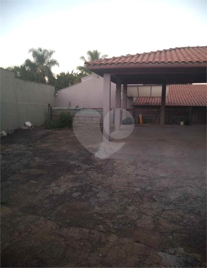Foto REO1108783