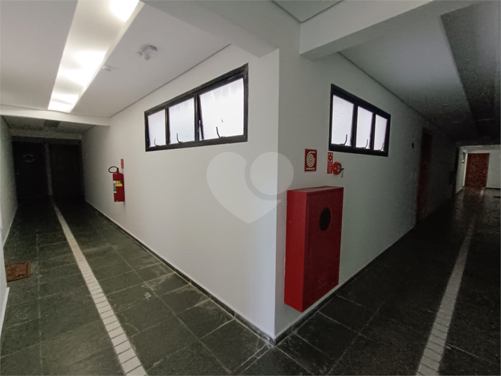 Foto REO1108786