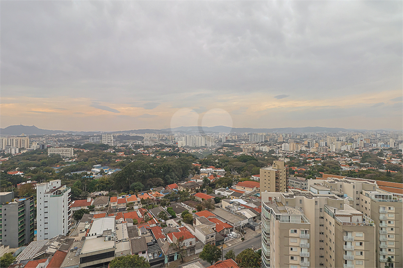 Foto REO1108788