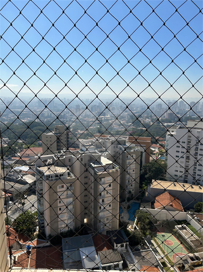 Foto REO1108788