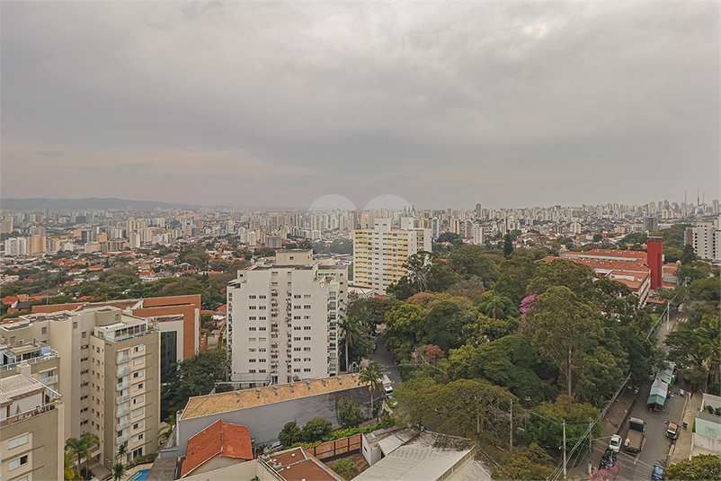 Foto REO1108788