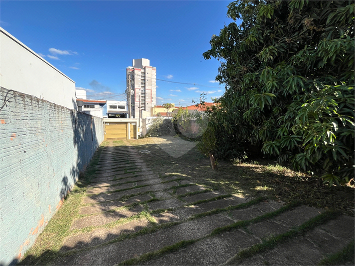 Foto REO1108792