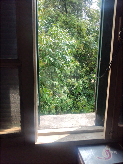 Foto REO1108825