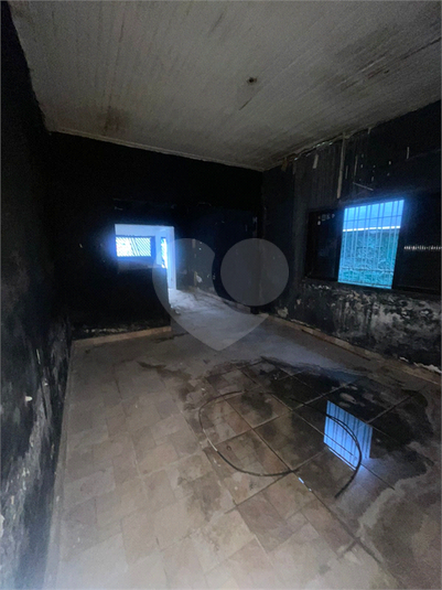 Foto REO1108831