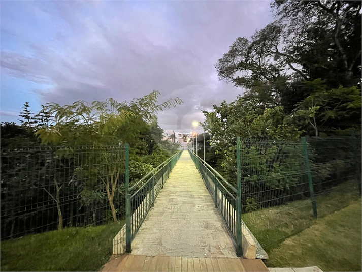 Foto REO1108839