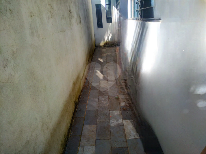 Foto REO1108840