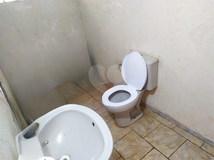 Foto REO1108840