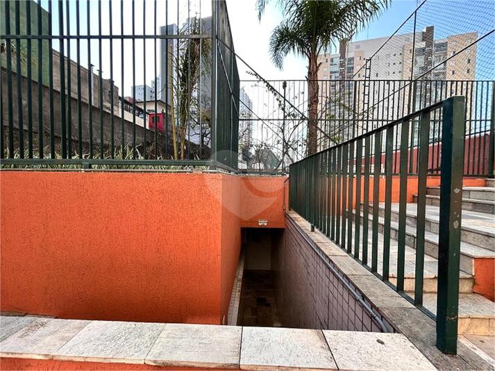 Foto REO1108865