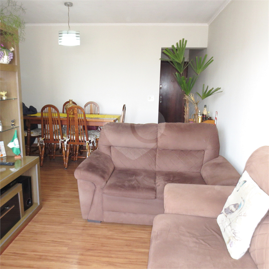 Foto REO1108867