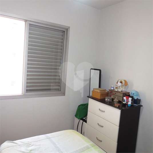Foto REO1108867