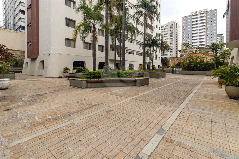 Foto REO1108872
