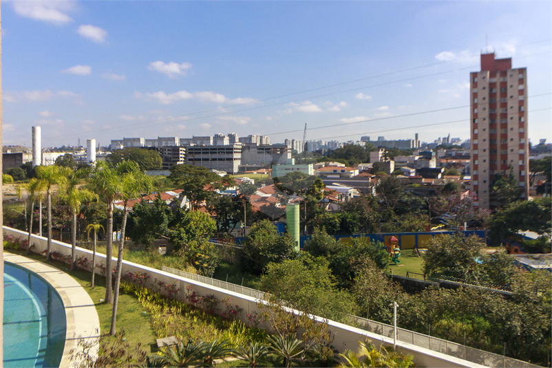 Foto REO1108878