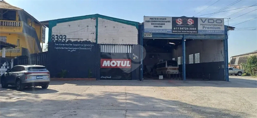 Foto REO1108884