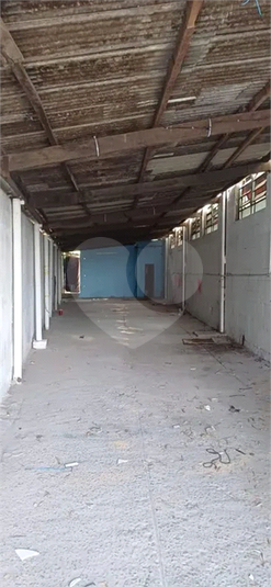 Foto REO1108884