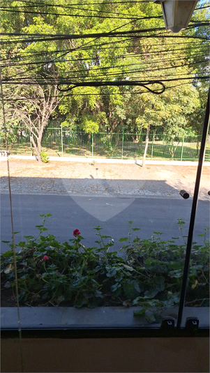 Foto REO1108889