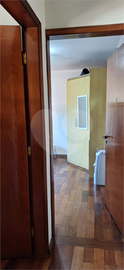 Foto REO1108889