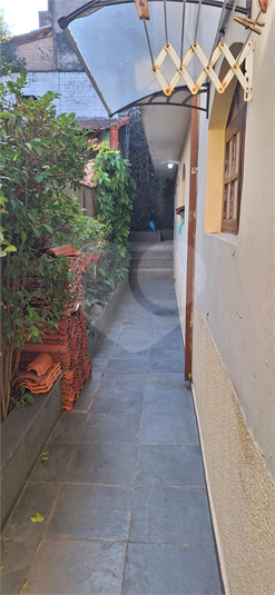 Foto REO1108889