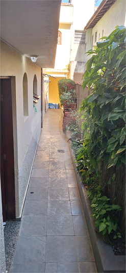 Foto REO1108889